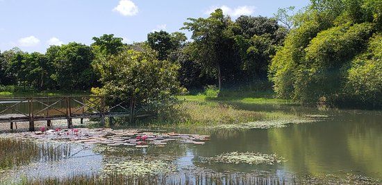 Sargento Prata City Zoo